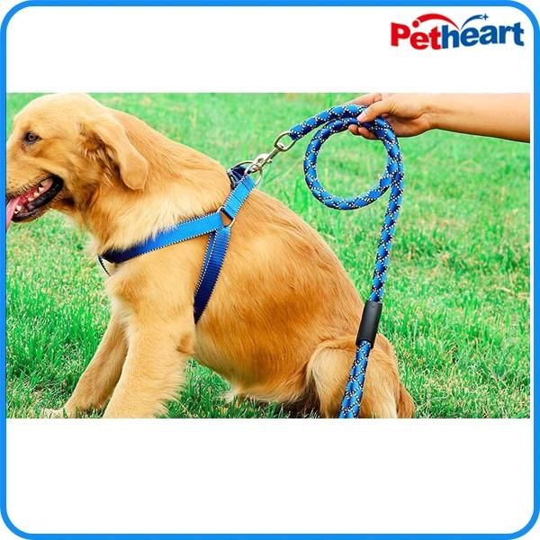 Factory Nylon Pet Supply Dog Leash Harness