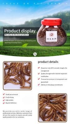 Frozen Feeder Mealworms for Pet Birds Food Amphibians Aquatic Fishing Bait Canned or Bag Available