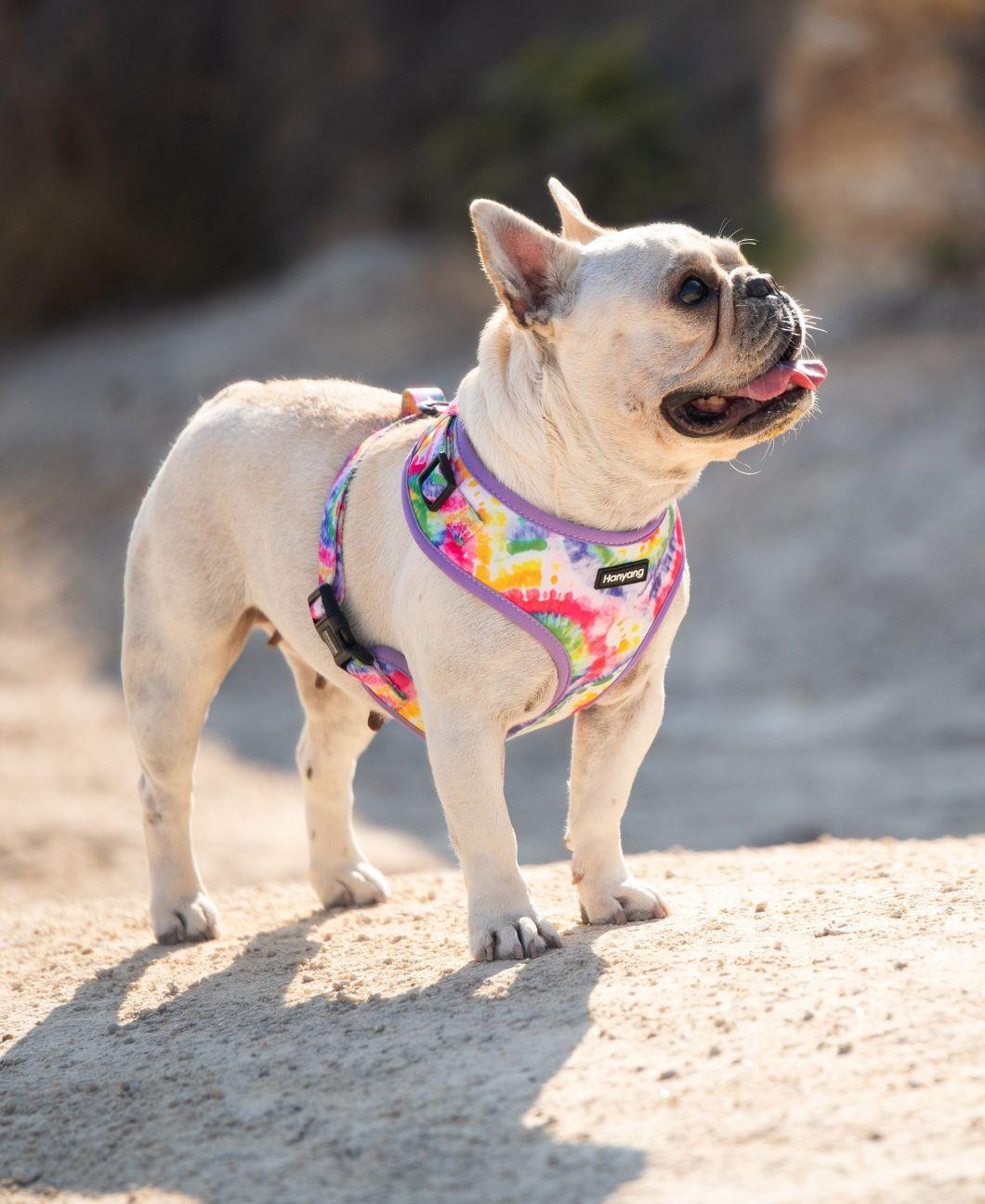 2022 New Released Wholesale Free Sample Dog Collar Adjustable Durable Pet Collar Pet Accessories