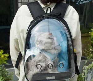 Transparent Pet Dog Cat Carrier Backpack