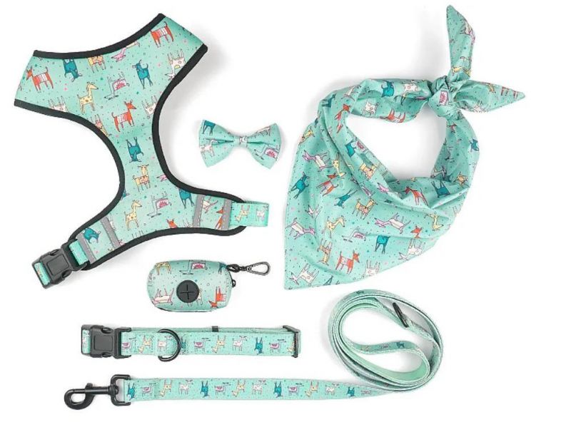 Amazon Popular Printing Pet Collars Harness Dog Leash Set