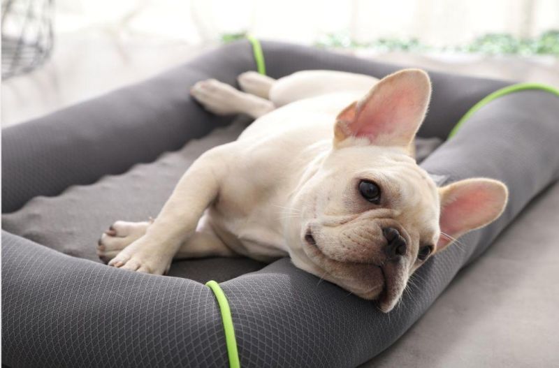 Breathable Air Mesh Graphene Pet Dog Cushion Bed