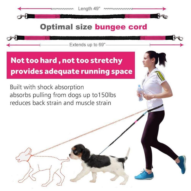 Shock Absorbing Dog Training Leash with Poop Bag Dispenser Pouch Ideal for Medium to Large Dogs