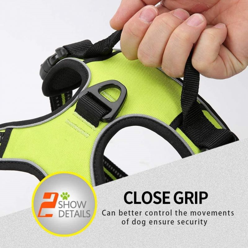 Nylon Pet Harness with Breathable Mesh Lining No Pull Design