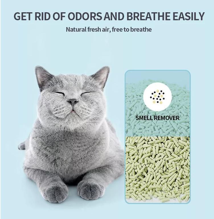 The Factory Specially Provides 10kg and 20kg 40kg Deodorized Low Dust Bentonite Cat Litter