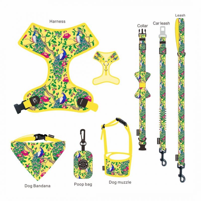 Heavy Duty Custom Designer Adjustable Luxury Fancy Fashion Harness Dog Collar and Leash Set