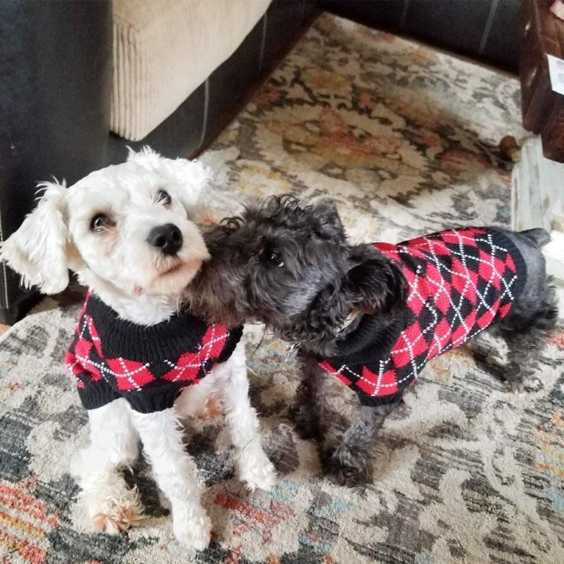 Dog Argyle Sweater Knitted for Small Doggie Puppy Cat Small