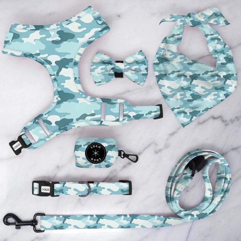 Customized Printing Design Dog Harness Set Design Dog Lead and Harness Set