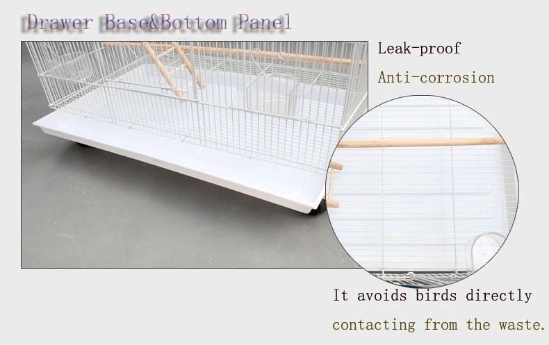 Wholesale Pet Accessory Big Breeding Birds Cage Big Cage