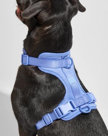 Designer Solid Custom Pawsome Frenchie Bulldog Wildone Harness Walk Kit No Pull Dog Harness