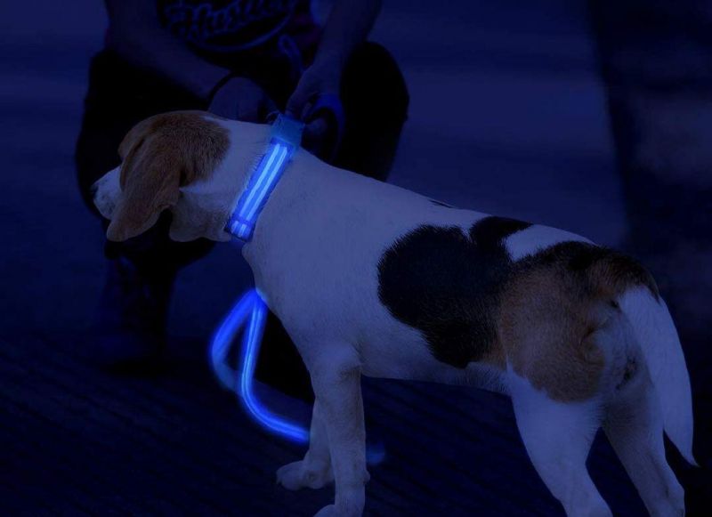 Easy-to-Use Clips LED Dog Collar