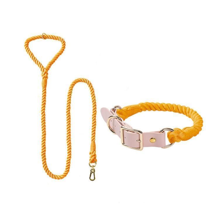 Fast Delivery of Cotton Dog Leash with Multiple Colos Option and Small MOQ