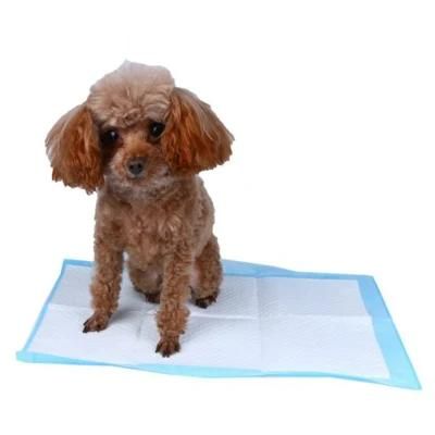Disposable Comfortable Puppy Training Pet for Male Dog Pet Pad