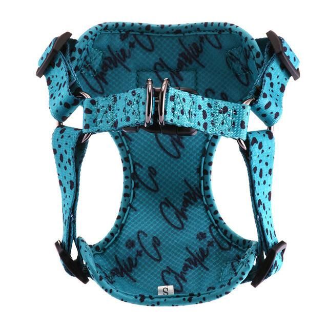2022 New Arrival Dog Harness Manufacturer Dog Leash and Harnessbreathable No Pull Pet Harness Step in Adjustable Dog Harness