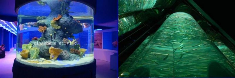 Large-Scale Transparent Acrylic Aquarium for Decoration