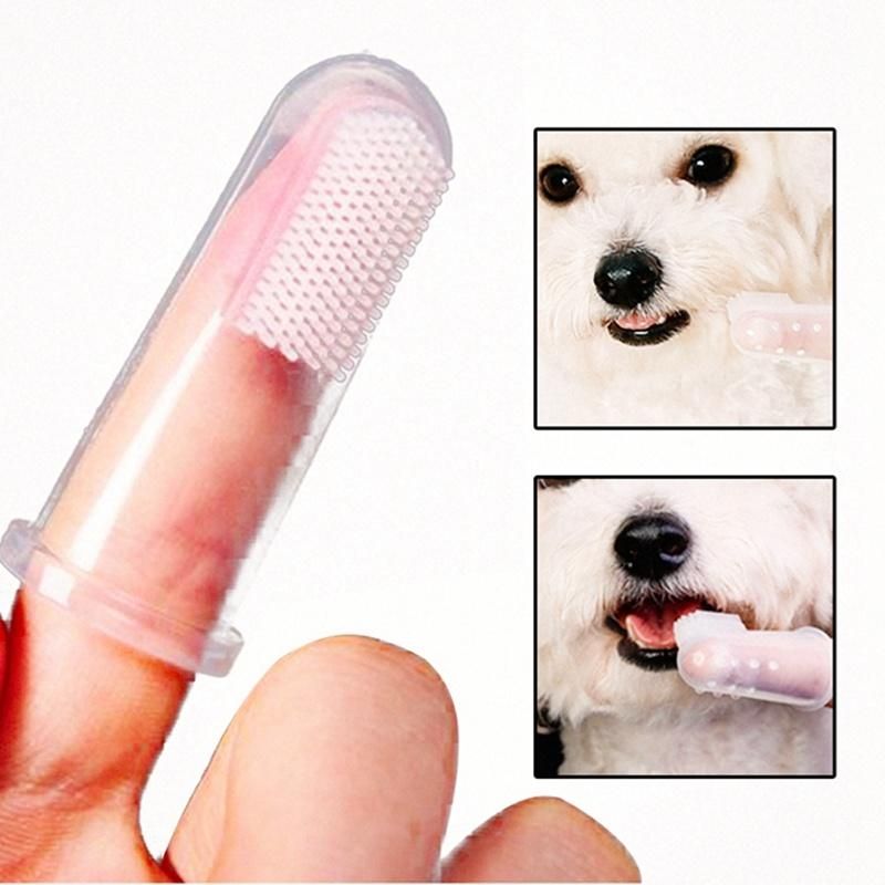 Pet Hot Selling Products of Silicone Pet Finger Toothbrush and PP Box for Dog and Cat Silicone Toothbrush Portable Cleaning Teeth Softly Dental Health OEM