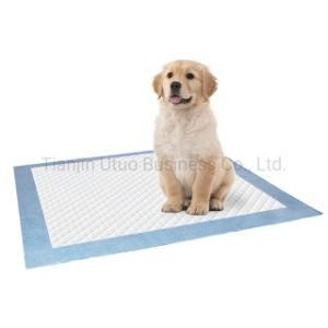 Super Absorbent Large Size Dog&prime;s Educational Mat