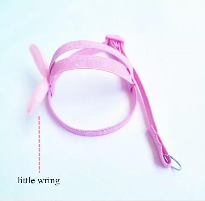 Light Release Traction Rope Peony Mystery Wind Small Sun Walking Bird Release Rope Parrot Flying Harness Rope Pet Item