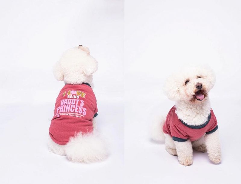 Thin Design Lovely Printed Style Warm Dog Jacket Coat Costume Spring Dog Clothes