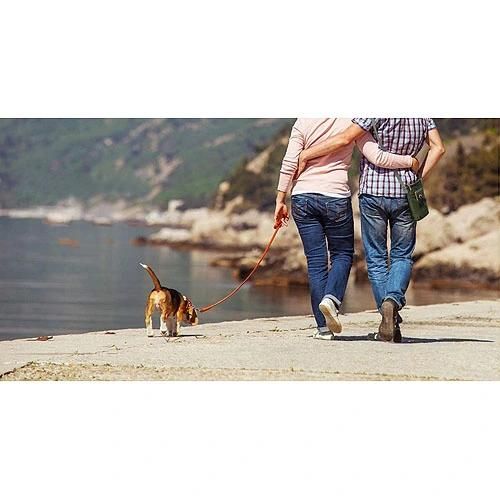 Dog Poo Bag Dispenser Waste Carrier Lightweight Rainproof Dog Treat Bag Dog Walking Bag