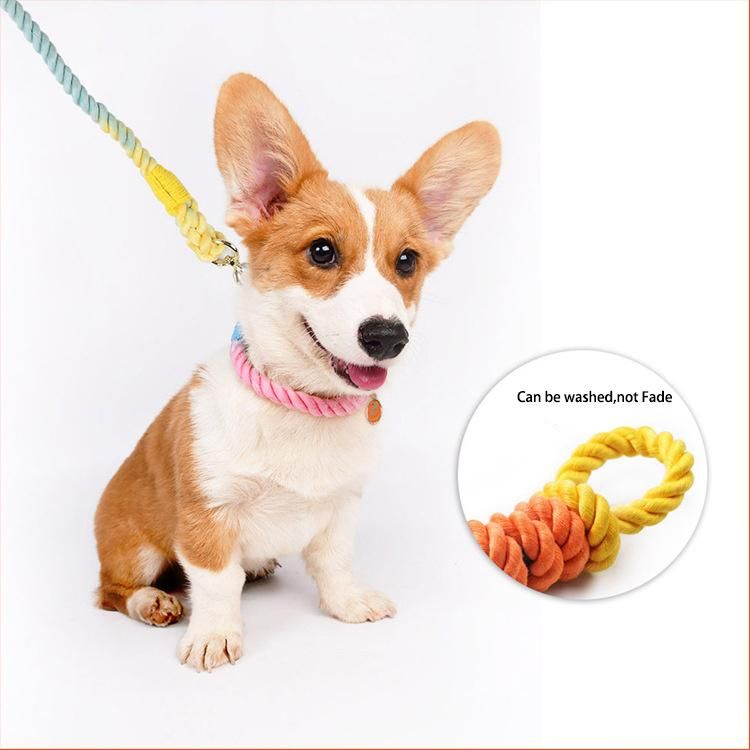 Wholesales Custom Rope Dog Leash Braided Cotton Heavy Duty Comfortable Dog Leashes Color Artistic Cotton Puppy Dog Rope Collar