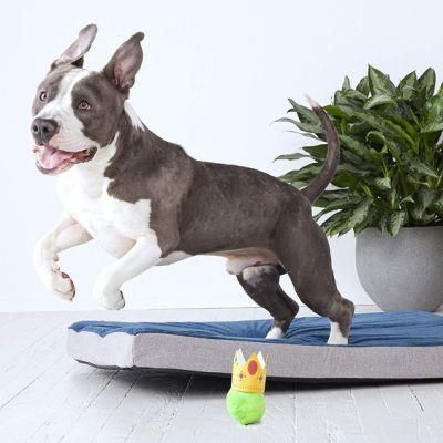 Dog Cushion Pet Beds Comfortably Fits All Dog Breeds