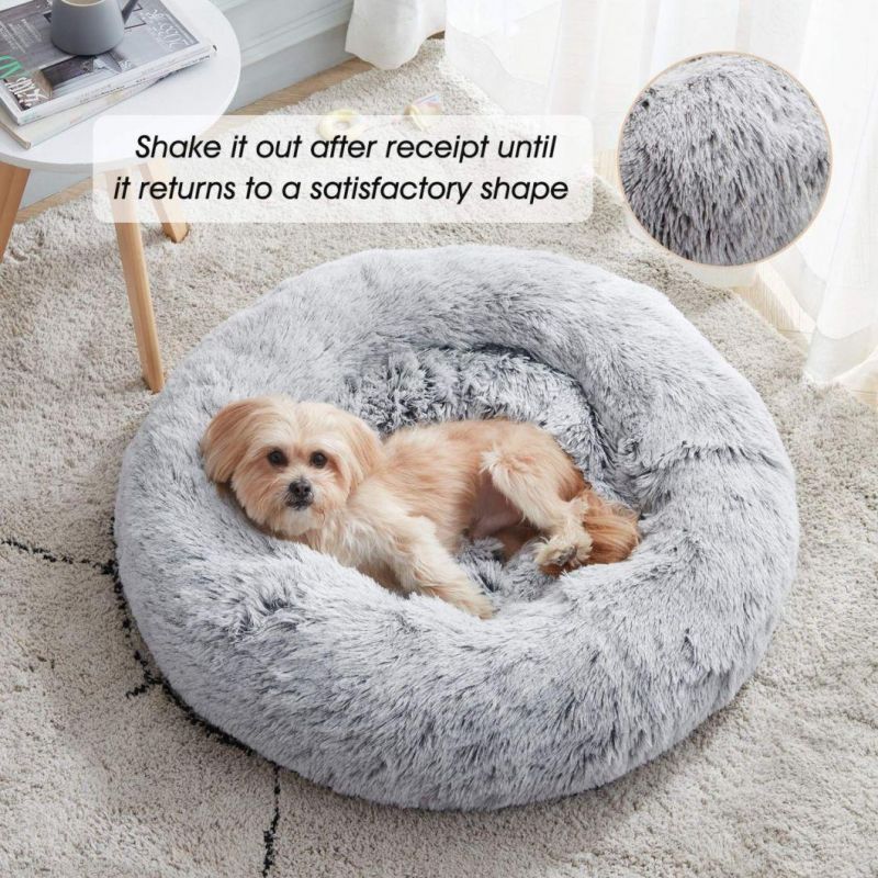 Wholesale Colorful Unique Comfortable High Quality Low Price More Resilience Pet Dog Bed and Cat Bed