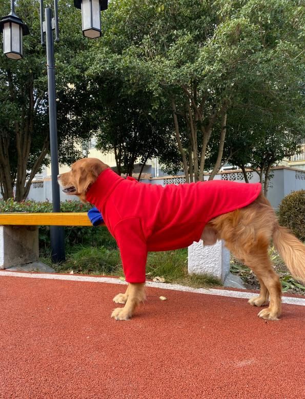 Exquisite Processing Windproof Coral Fleece Pet Winter Clothes Dog Coat