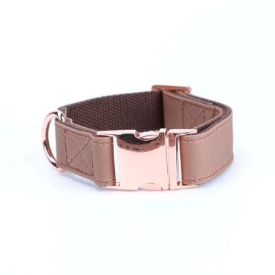 Fascinating Canvas Dog Collars with Strong Rose Gold Metal Hardware