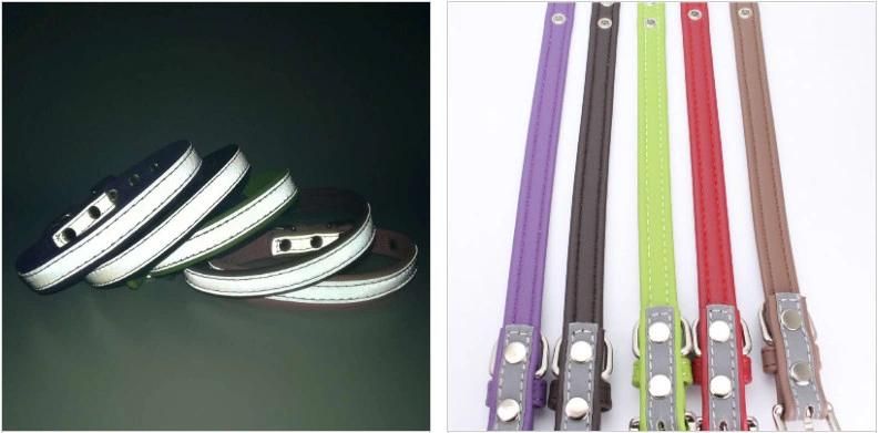 Pet Product Engraved Durable Reflective Pet Dog Collar