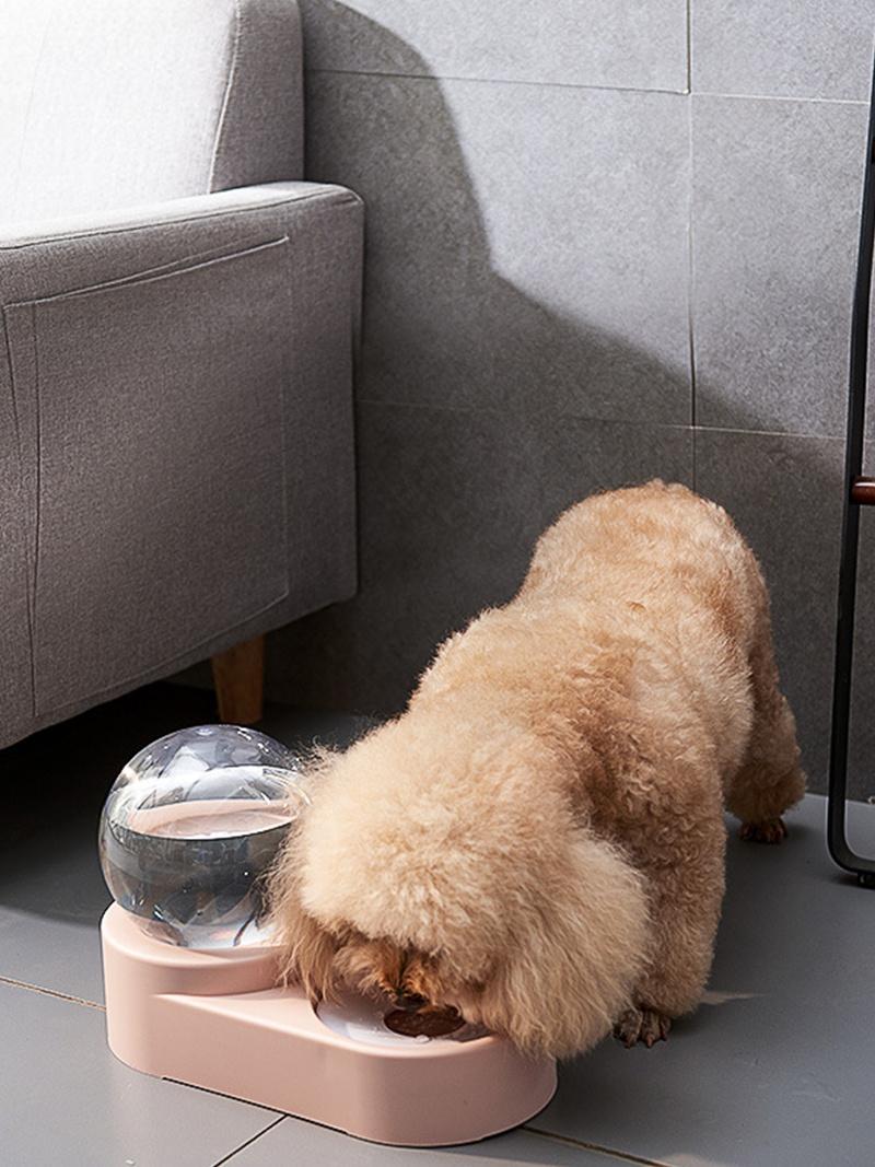 Pet Double Bowl Automatic Dispenser with Simple Spherical Design and Have a Large Capacity