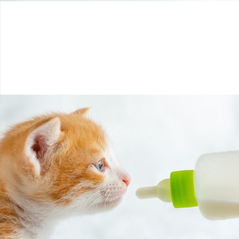 Animal Feeder Practical Pet Nurser Bottle Hamster