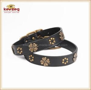 Real Leather Embossed Clover Pet Supply Products/ Dog Collars KC0163