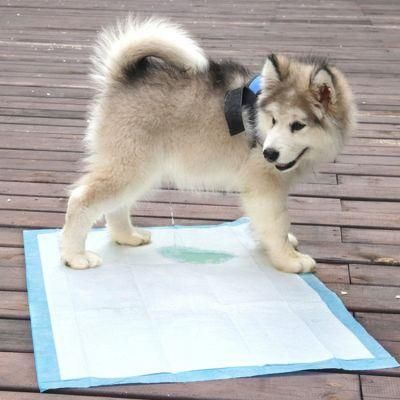 Disposable Pet Training Pad for Dog
