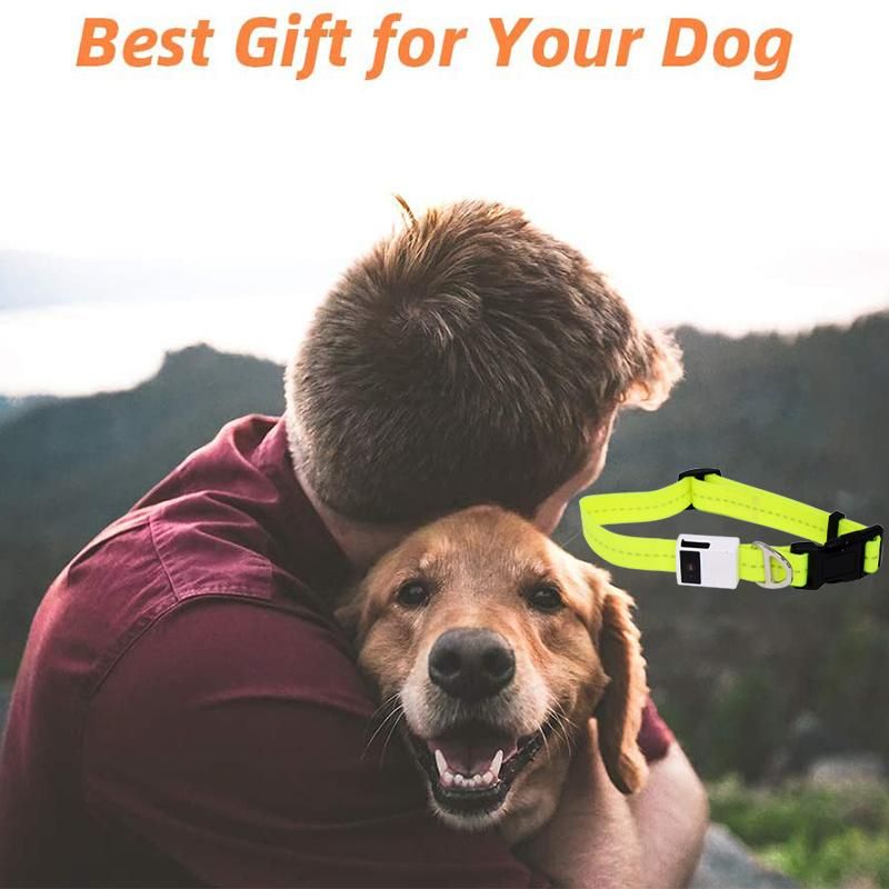 Adjustable Waterproof LED Webbing, Replaceable Battery, 3 LED Flashing Mode, Soft PVC Pet Necklace, Glowing at Night, Safe & Durable LED Dog Collar