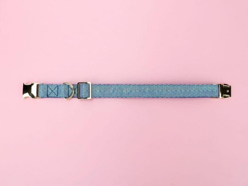 Hot Sell Wholesale Dog Collar Leash Set with Small MOQ