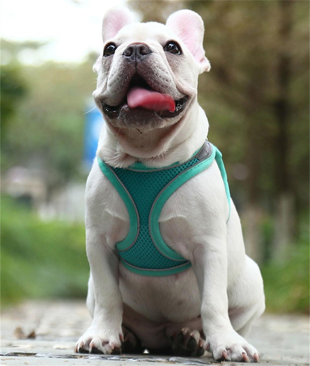 Dog Cat Harness Vest with Walking Lead Leash