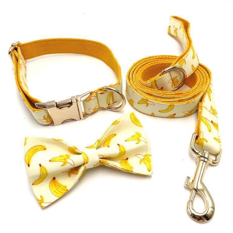 Eco-Friendly Pet Accessories Supplies Print Adjustable Luxury Nylon Dog Collar and Leash Set
