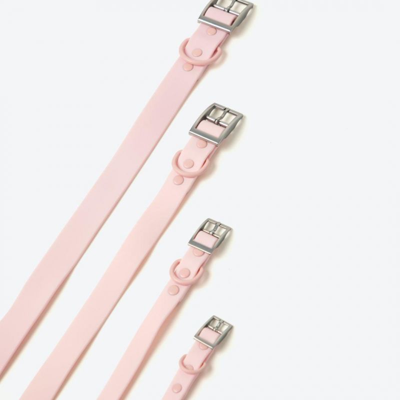 Durable Waterproof Dog Collar Leash with Fashion Design