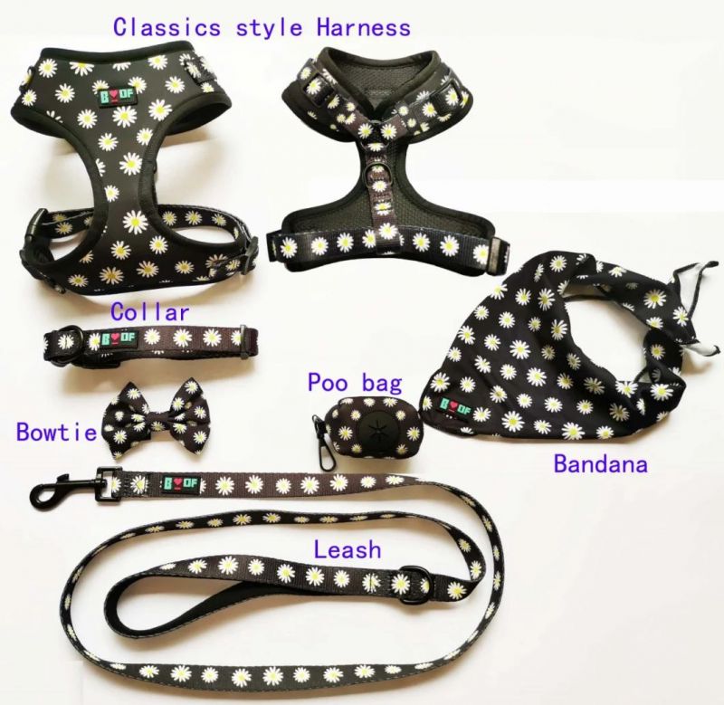 Customized Pattern Reversible Pet Dog Harness Leash Collar with Adjustable Accessories for Walking The Dog/Pet Accessories/Pet Supply/Pet Products