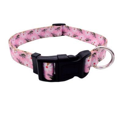 Promotional Pet Clothes Fashion Dog Collar and Leash for Hiking