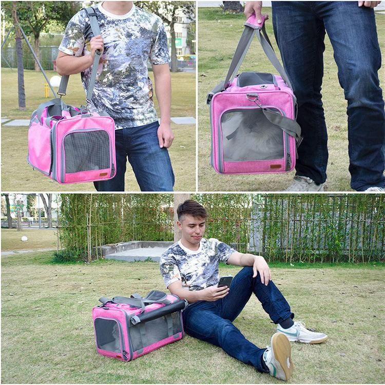 Customize OEM ODM Pet Travel Foldable Pet Carrier Backpack