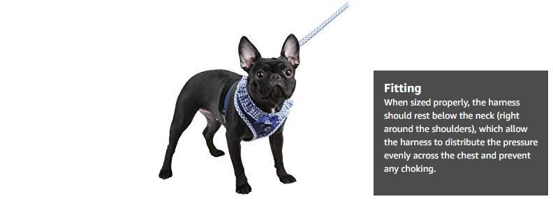 Padded Choke-Free Pet Harness, Best Pet Supplies