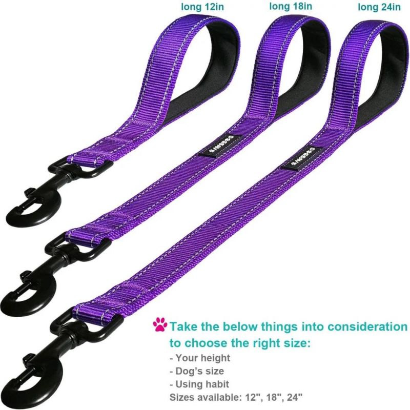 Short Nylon Dog Lead for Training Control