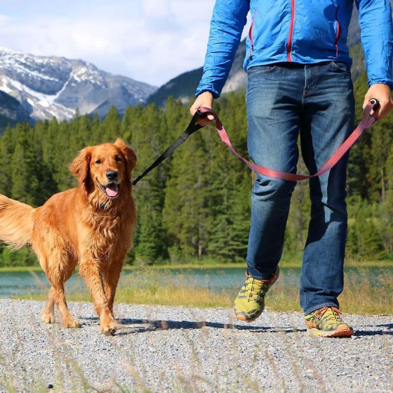 Ultra Strong Construction Dog Lead for Large Dogs