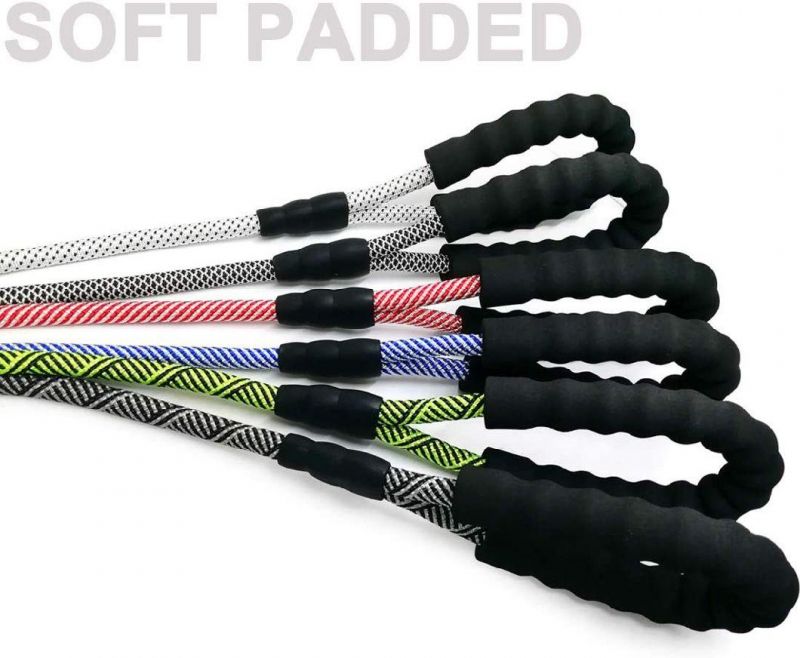 Heavy Duty Rope Dog Leash 1/2" X 6FT Nylon Pet Leash