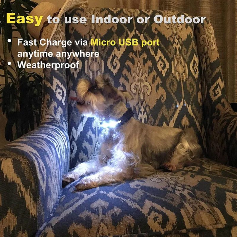 LED Light up Pet Accessory USB Charging Dog Collar