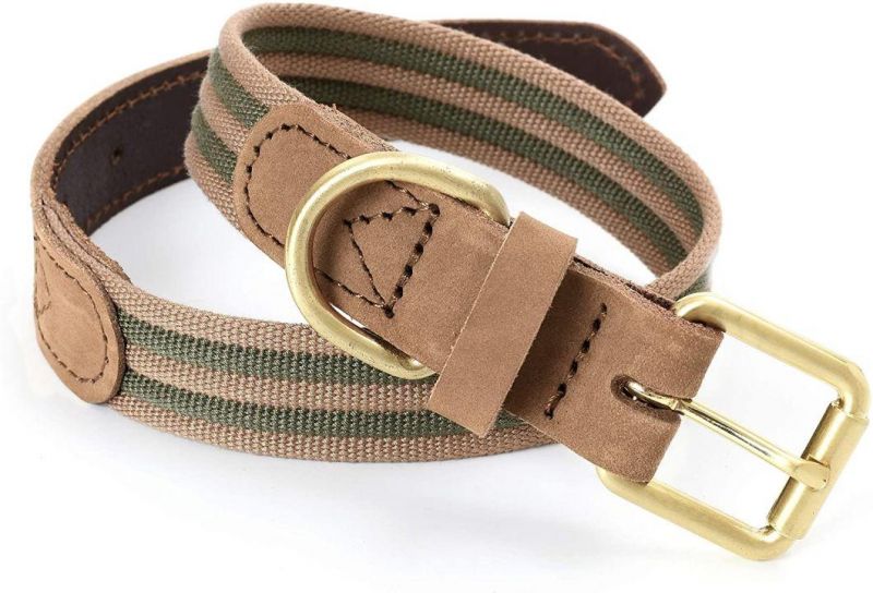 Premium Canvas Leather Dog Collar
