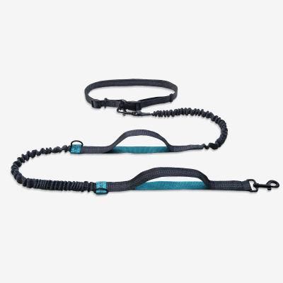 2022 Manufacture Filled with Foam Feel More Comfortable Dog Pet Leash