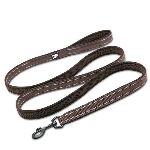 Easy Control Fashion Accessory Training Pet Leash Lightweight